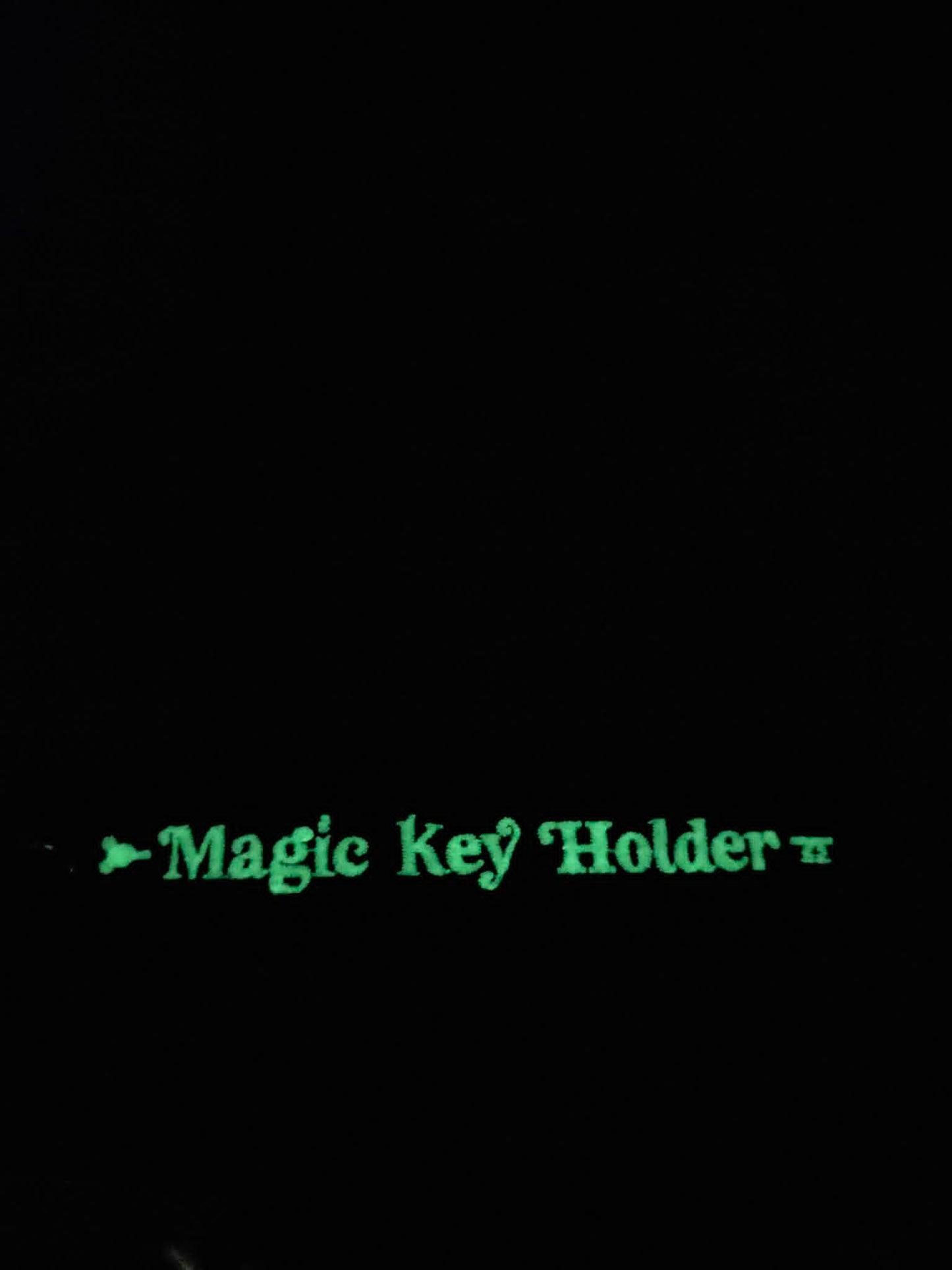 RESTOCKED - 5" GLOW IN THE DARK Happiest Park Magic Key Holder Keychain