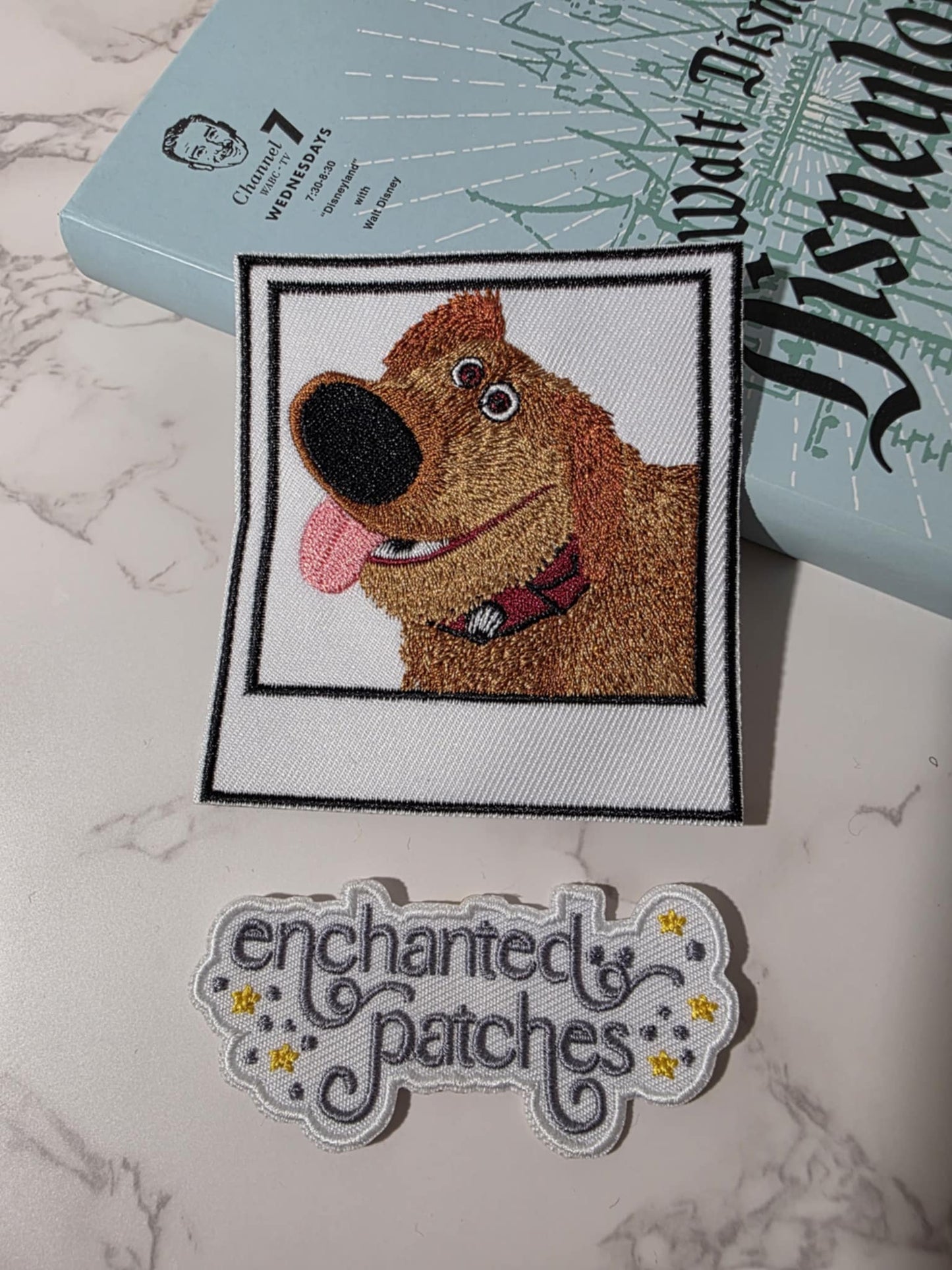 3.5" Up Balloon House Wilderness Dog Dug Polaroid Embroidered Iron On Patch