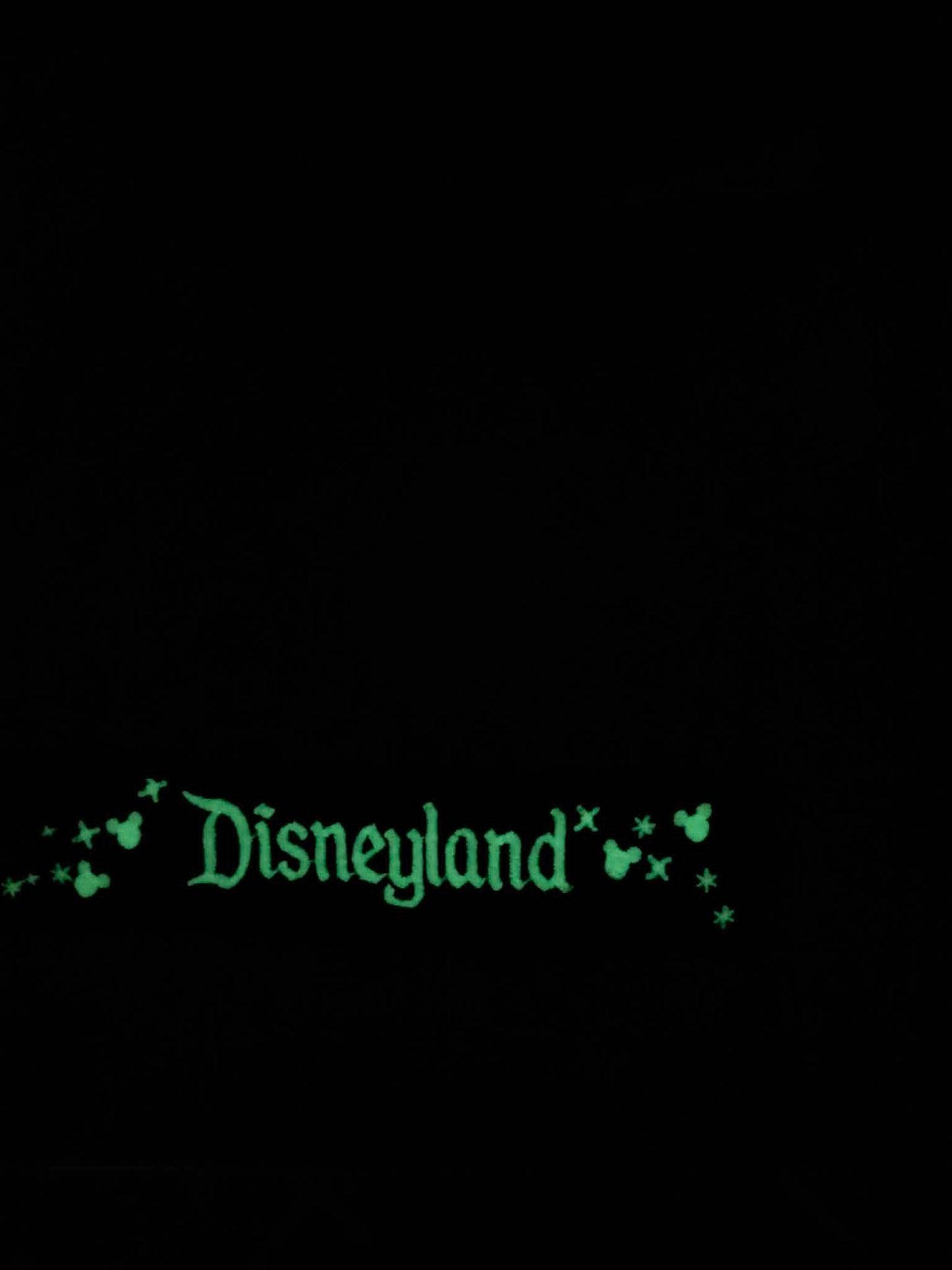 RESTOCKED - 5" GLOW IN THE DARK Happiest Park Magic Key Holder Keychain